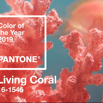 pantone color of the year 2019