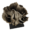 rendered image of gemmipora brassica