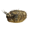 rendered image of diodon hystrix